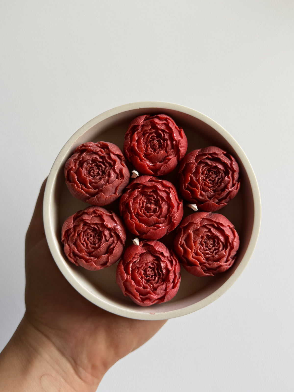 Burgundy Peony